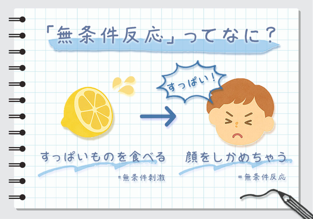 無条件反応　条件反応　とは